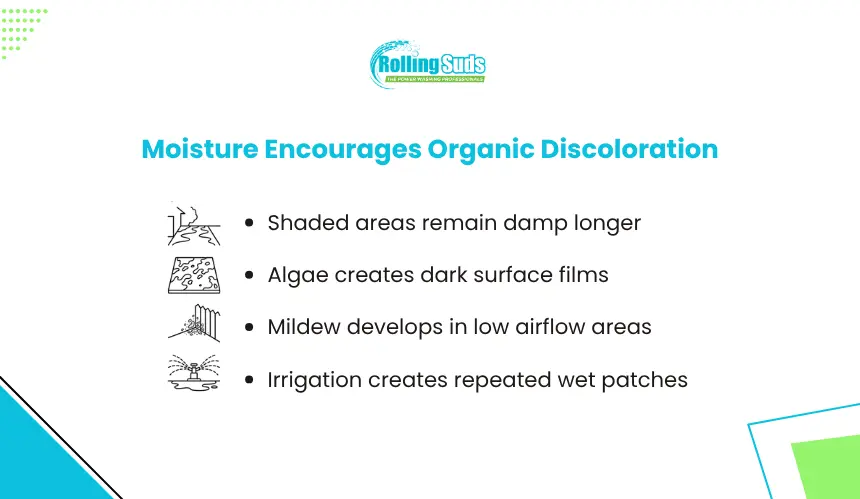 Moisture Encourages Organic Discoloration