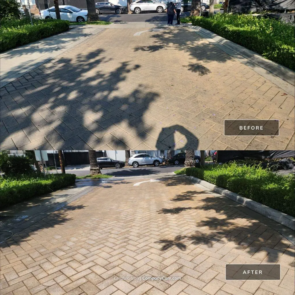 Herringbone paver driveway before and after cleaning