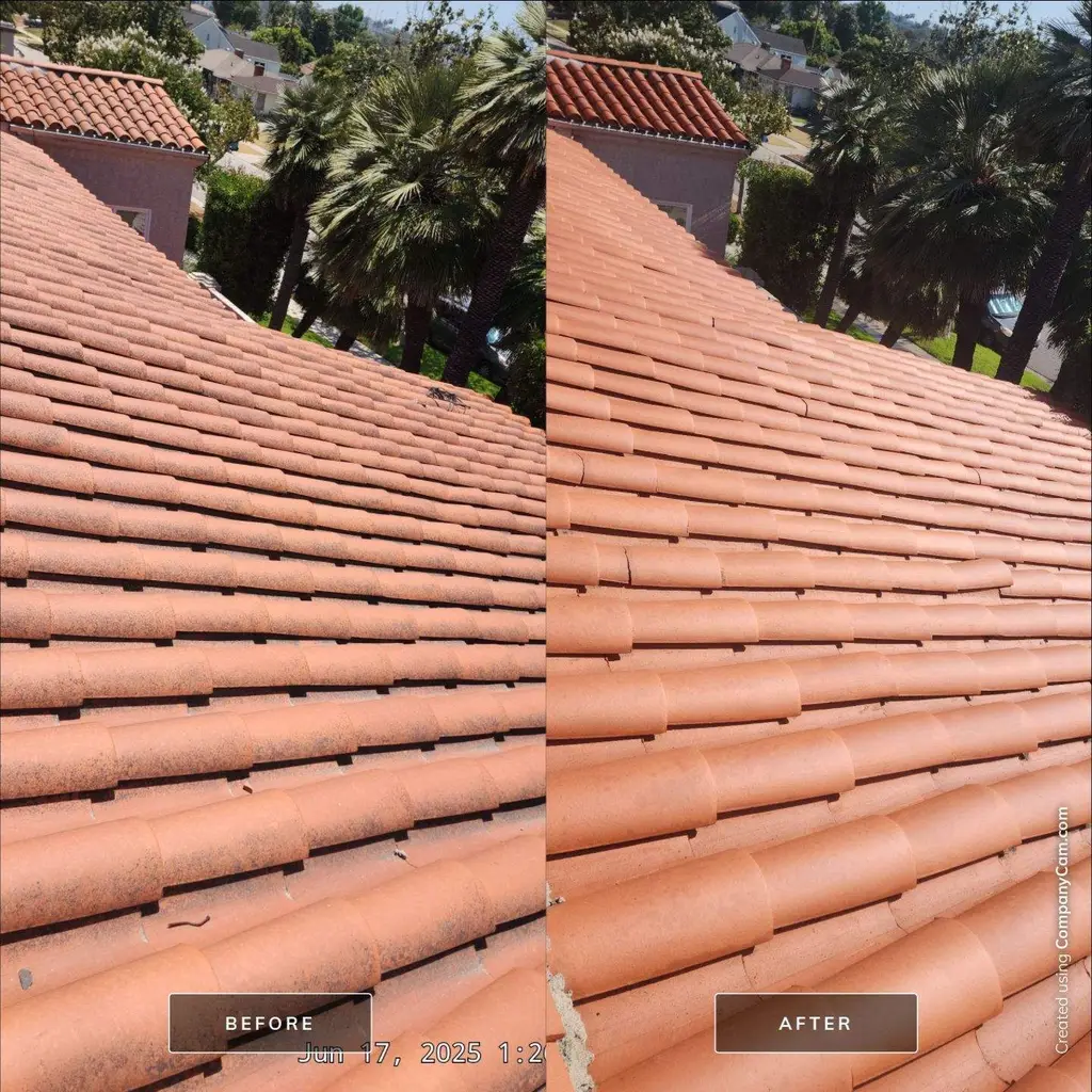 Terracotta tile roof slope before and after cleaning