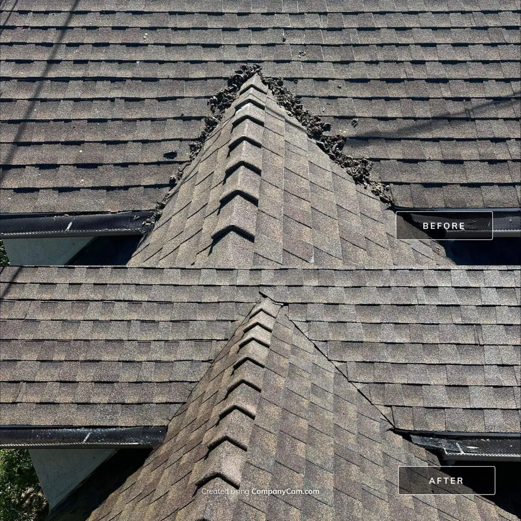 Asphalt shingle ridge before and after removing black streaks
