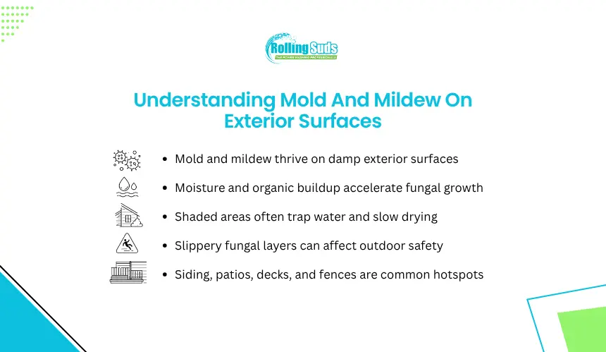 Infographic explains mold and mildew growth on exterior home surfaces