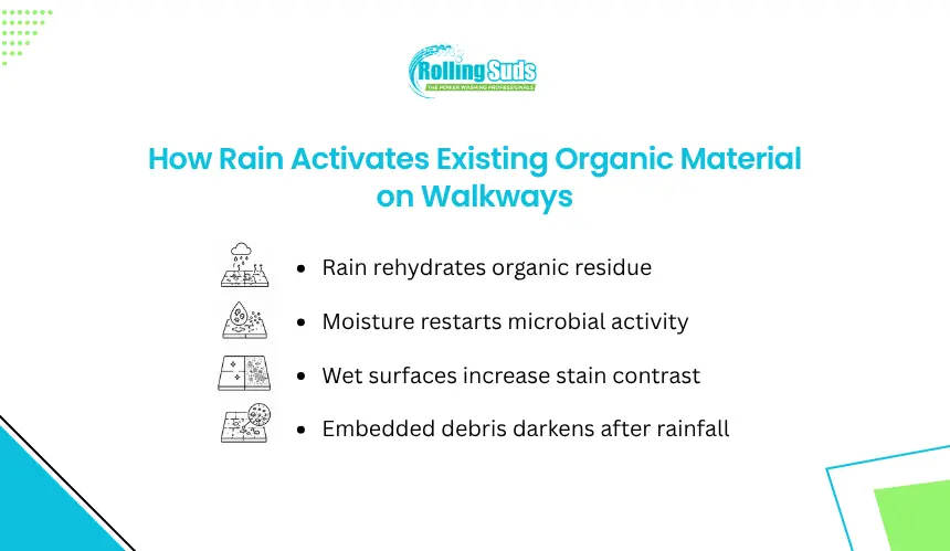 Rain activation infographic for organic residue on outdoor walkways.