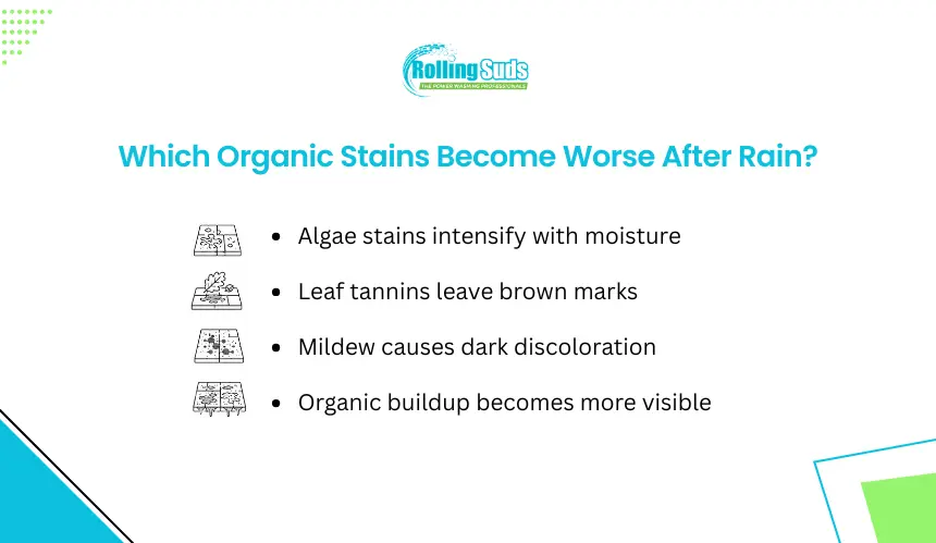 Organic stains after rain infographic with algae mildew and tannins.