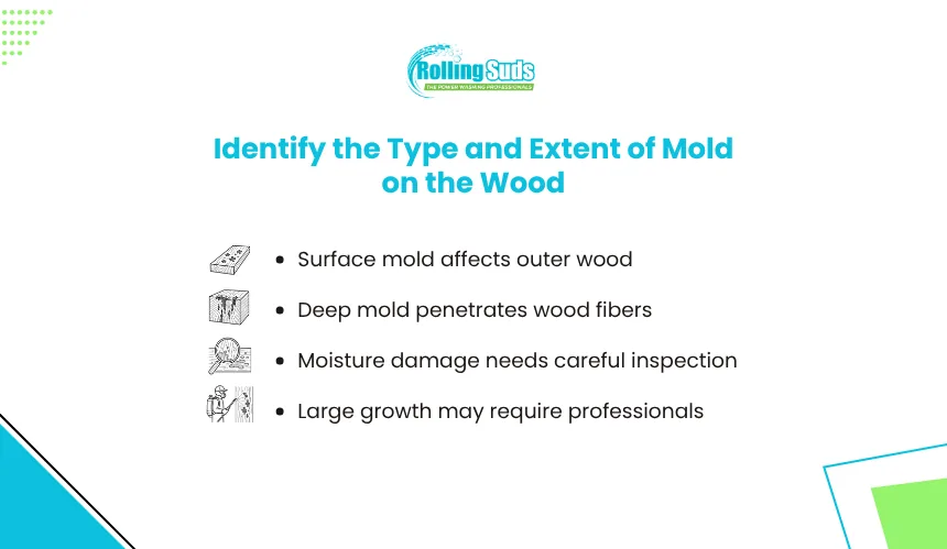 Infographic explains mold type and severity on exterior wood surfaces