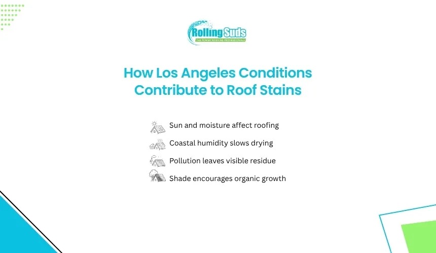 Infographic shows Los Angeles conditions contributing to roof stains