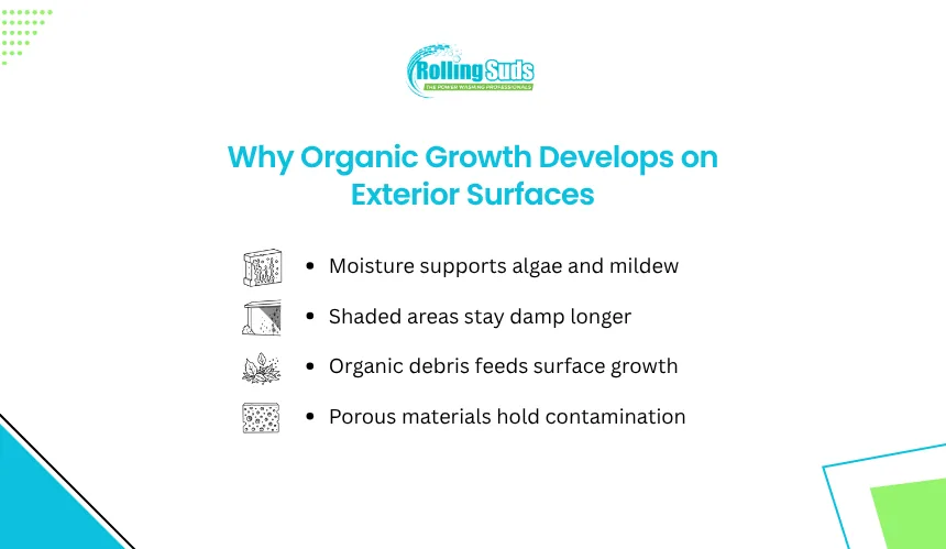 Organic growth infographic showing moisture, shade, debris and pores