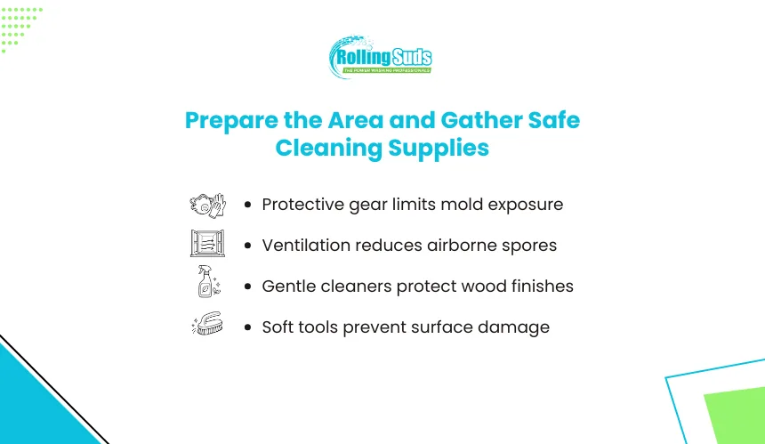 Infographic shows safe cleaning supplies for mold removal from wood