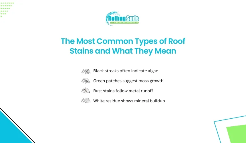 Roof stain guide showing algae, moss, rust and mineral residue type.